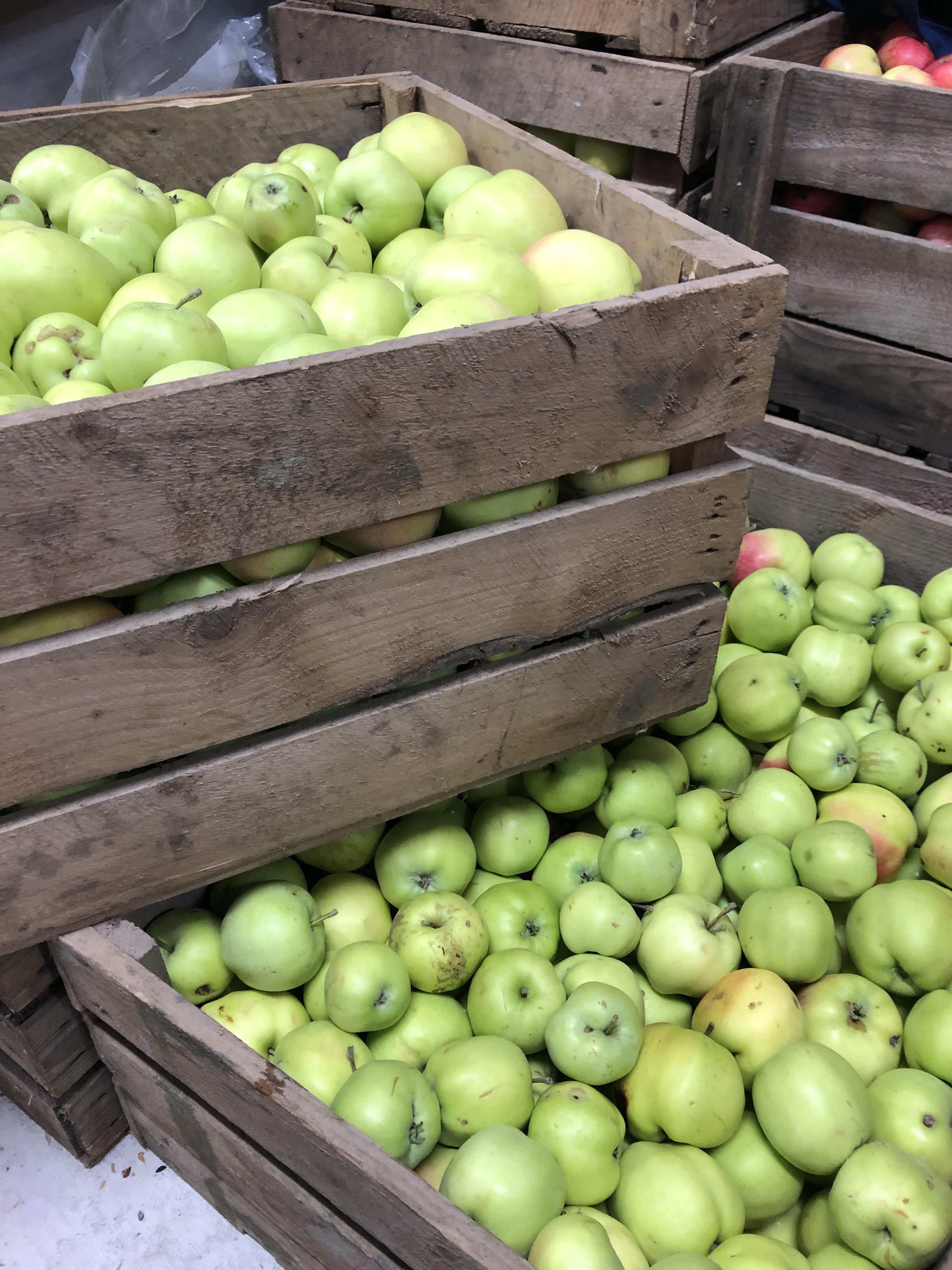 image_/assets/IMG_9151-min-GPxi0FVO.jpg_function () { [native code] }.jpg